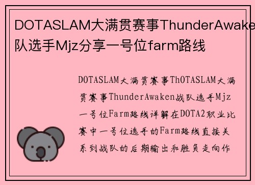 DOTASLAM大满贯赛事ThunderAwaken战队选手Mjz分享一号位farm路线
