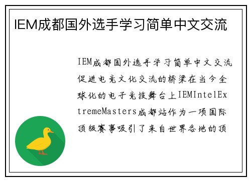 IEM成都国外选手学习简单中文交流